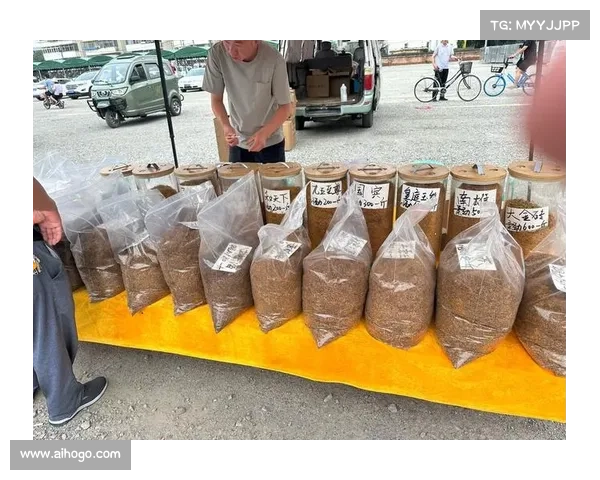 基于DK宏技术的应用研究与实践探索 基于DK宏技术的应用研究与实践探索